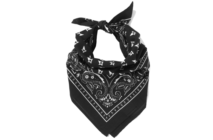 Astralis Bandana